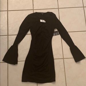 NWT Express Fitted Sweater Dress